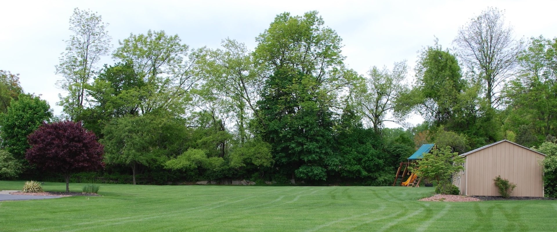 Do lawn care companies work in the rain?