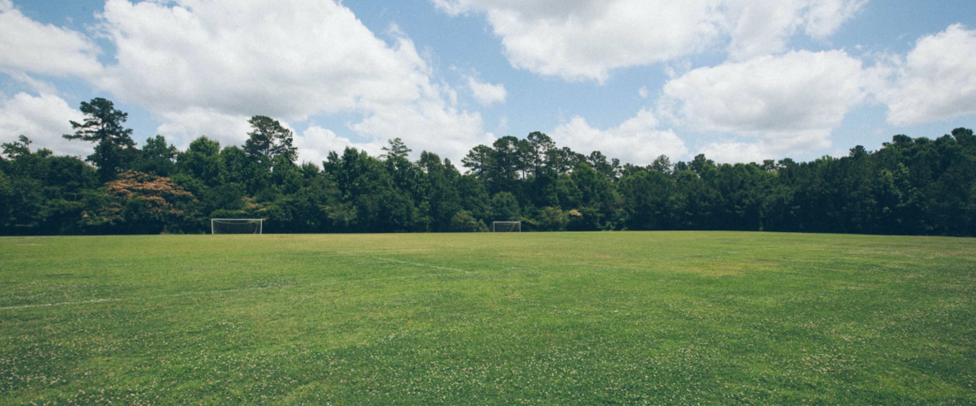 How to grow grass anywhere?