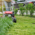 Protecting Your Lawn In Greenbelt, Maryland: How To Identify Pest Threats And Choose The Right Pest Control Services