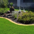 How often should a lawn be maintained?