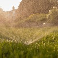 Why Seasonal Timing Matters More Than Lawn Products
