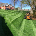 Arborist Services In Marion, NC: The Perfect Partner To Your Lawn Care