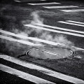 How Lawn Care Concerns Can Reveal the Need for Trenchless Sewer Line Repair in Livermore, CA