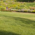 What should you do for your lawn in spring?