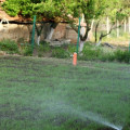 Why Lawn Sprinkler Service Is Essential For Maintaining A Lush Yard In Pembroke Pines