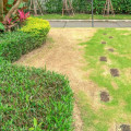 Why Cleaning Services Notice Lawn Problems Before Homeowners Do
