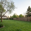 Lawn Care Insights for Achieving a Lush and Even Lawn