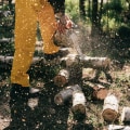 Get A Fresh Start: Remove Stumps In Kalamazoo Before Your Lawn Care Kicks Off