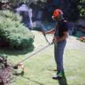 Why Combining Tree Care Services And Lawn Care Creates Lasting Results In Round Rock