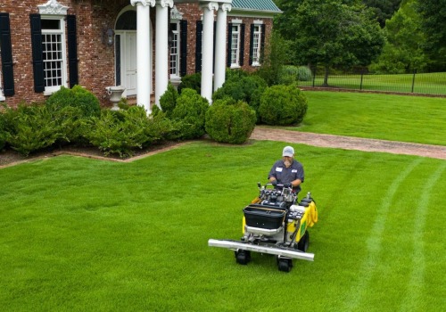 Are lawn care services worth it?