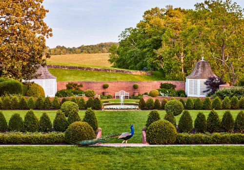 Creating a Balanced Landscape With Lawn Care and Tree Service