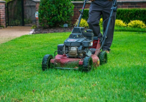 Most important lawn care?