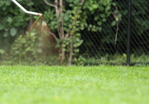 Who has the best lawn care service?