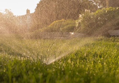 Why Seasonal Timing Matters More Than Lawn Products