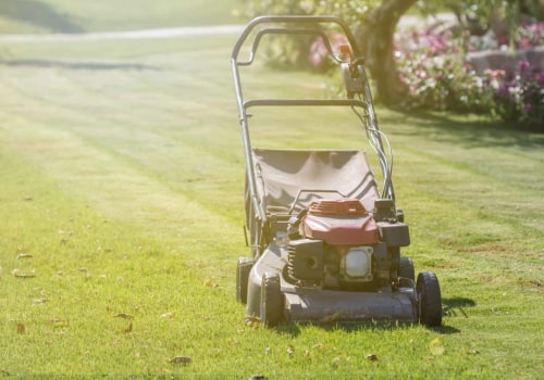 Enhance Your Home with Expert Lawn Care & Maid Services in Oakville