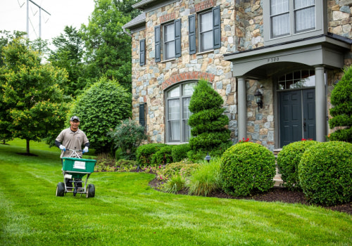 How Lawn Care Complements Overall Home Maintenance Services