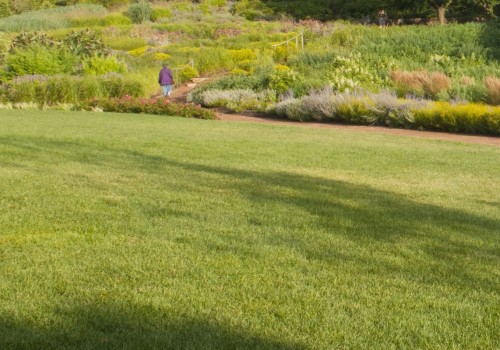 What should you do for your lawn in spring?