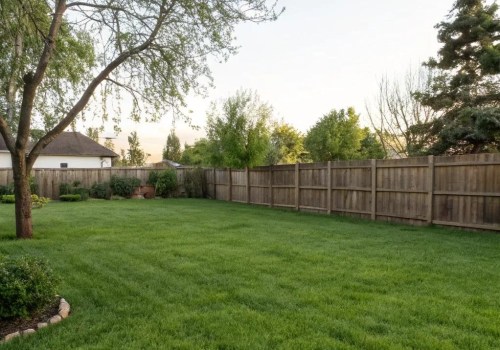 Lawn Care Insights for Achieving a Lush and Even Lawn