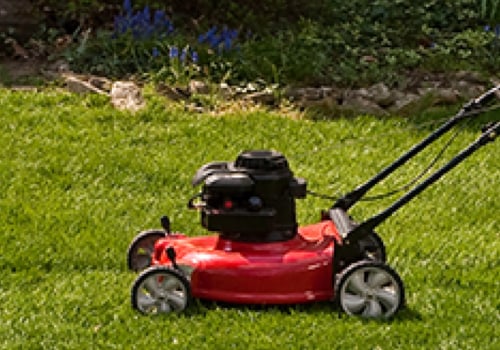 What lawn care should be done in the spring?