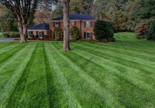 Lush Lawns 101: Mastering The Art Of Lawn Care In Plano, TX With Fertilization Tips
