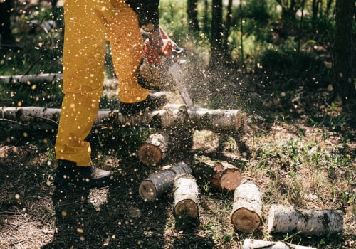 Get A Fresh Start: Remove Stumps In Kalamazoo Before Your Lawn Care Kicks Off