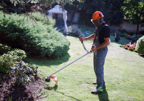 Why Combining Tree Care Services And Lawn Care Creates Lasting Results In Round Rock