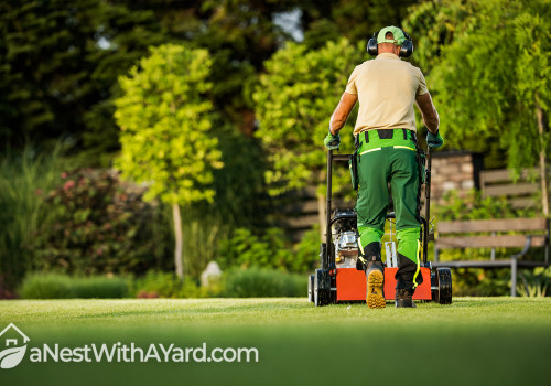 What is a good lawn care schedule?