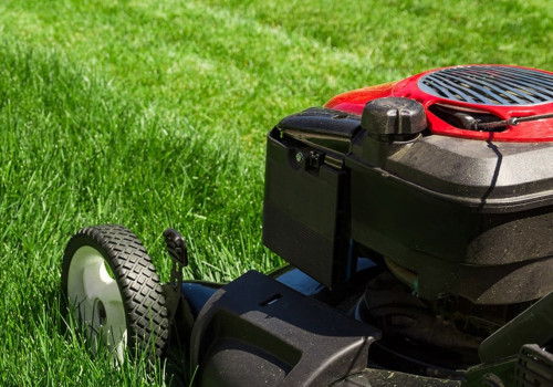 Why is proper lawn care important?