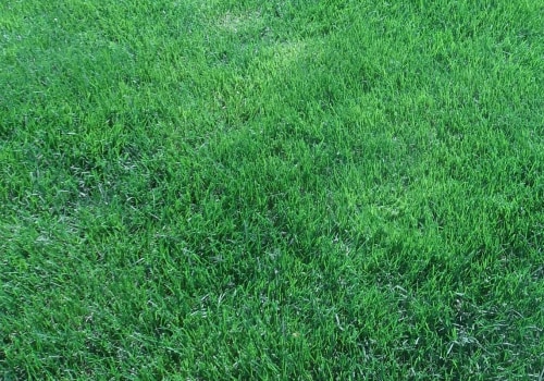 What is organic lawn care?