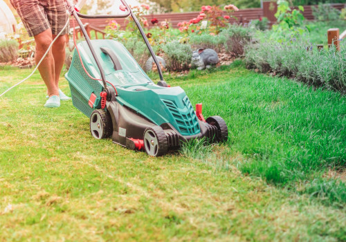 The Cost Of Lawn Care In Omaha